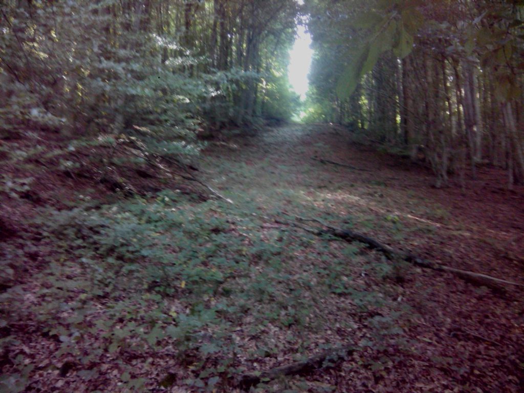 Exif_JPEG_420