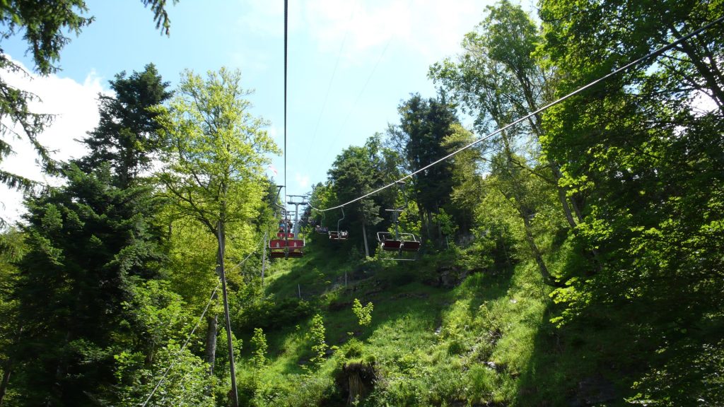 L1090858
