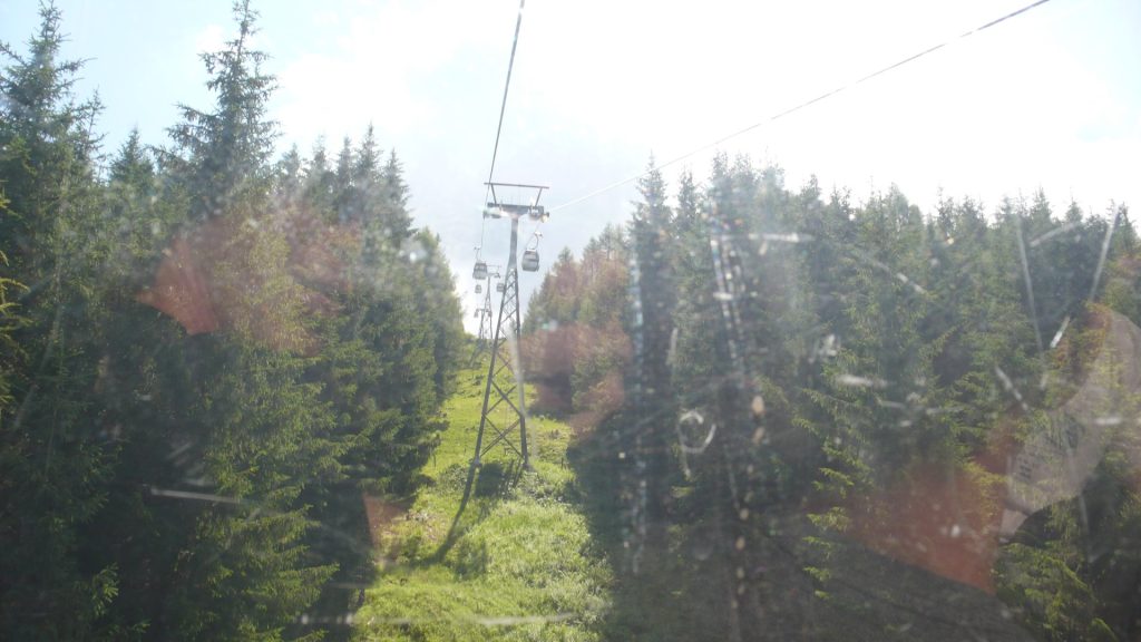 L1110389