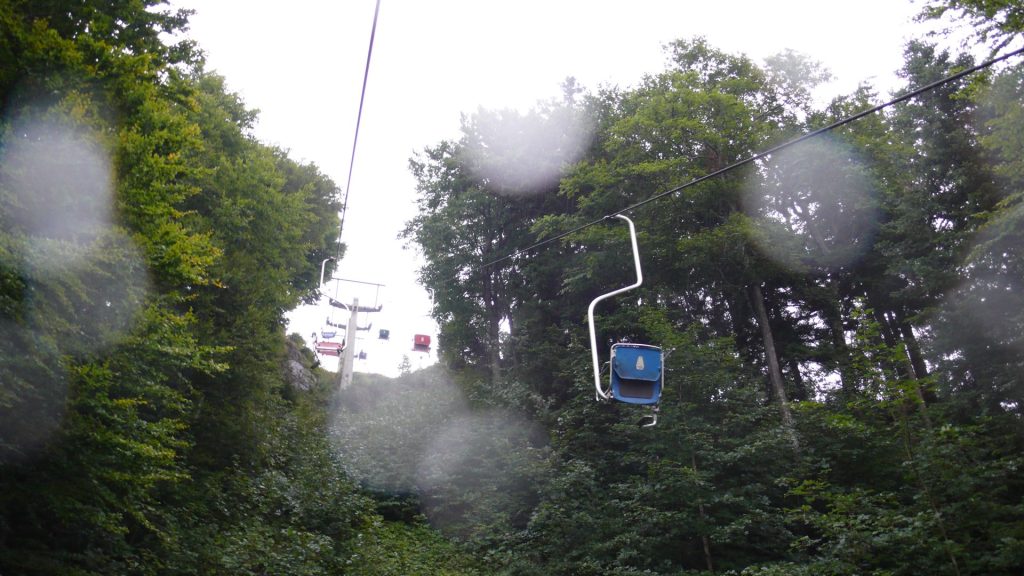 L1210261