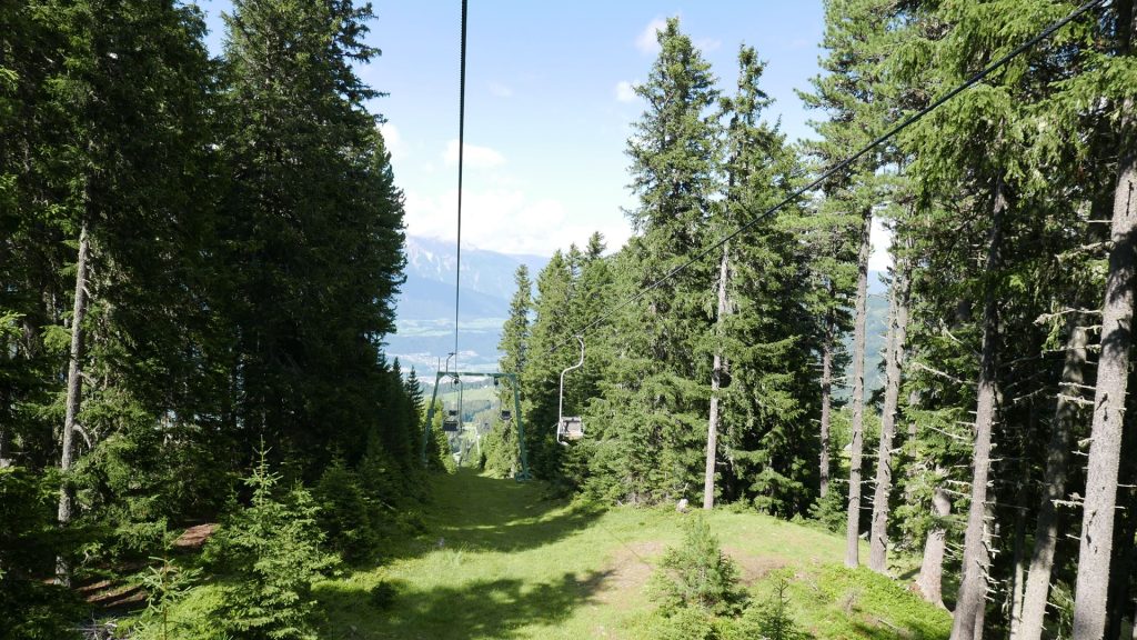 L1230274