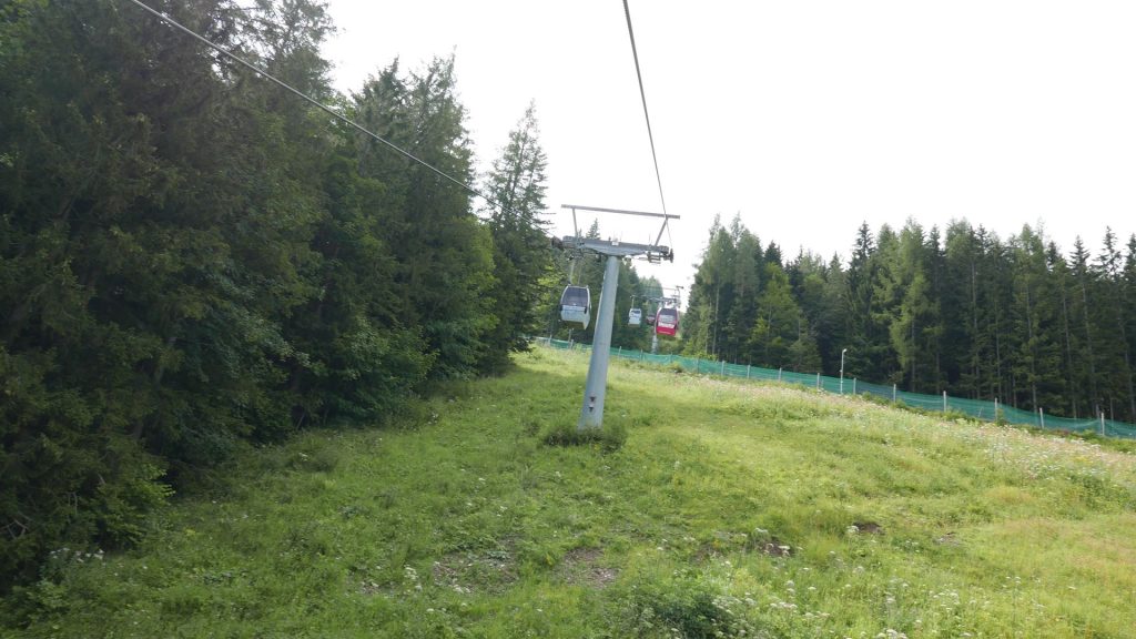 L1250362