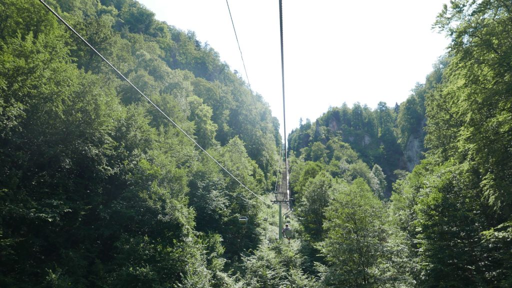 L1250434