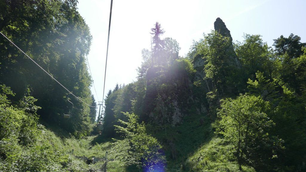 L1250446