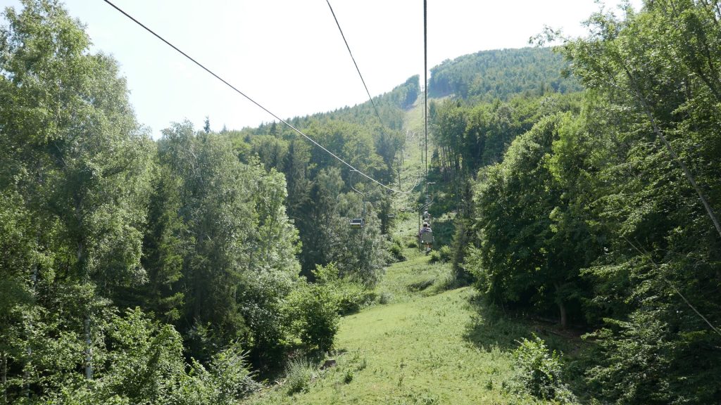 L1250459
